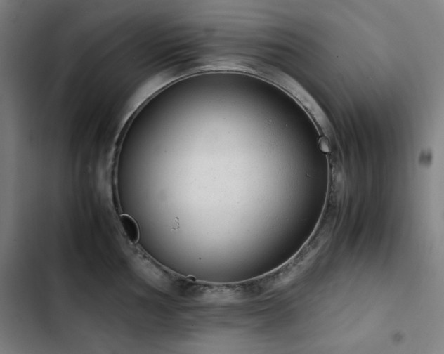 X0000103331002200809051205