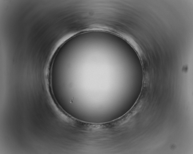 X0000103331003200809051205