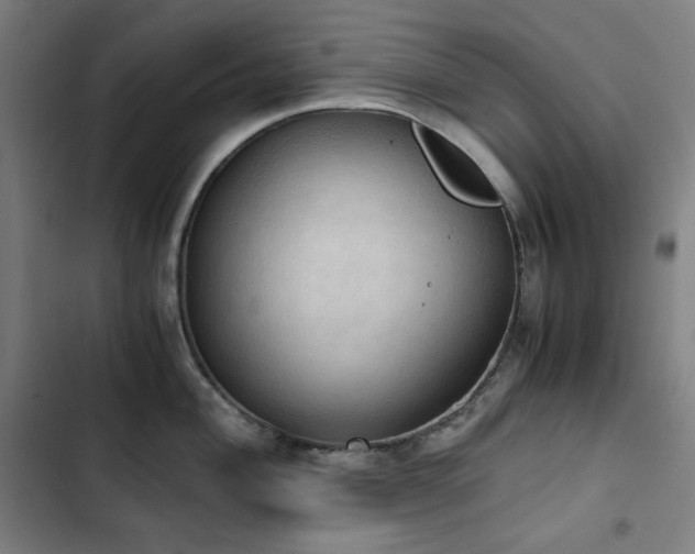 X0000103331004200809051205