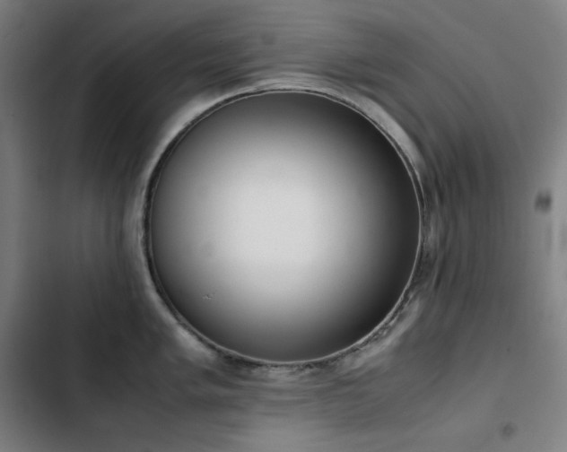 X0000103331005200809051205