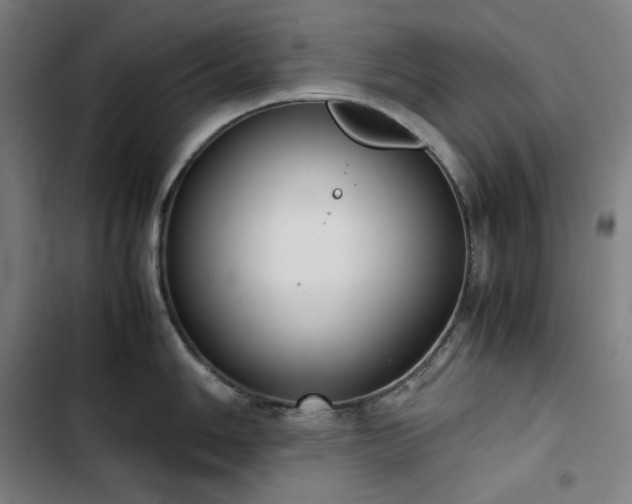 X0000103331006200809051205