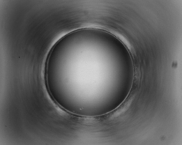 X0000103331007200809051205