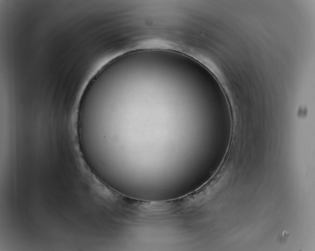 X0000103331008200809051205