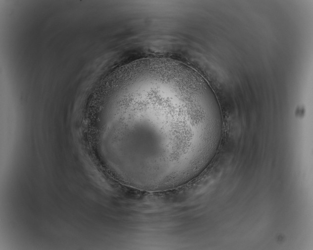 X0000103331009200809051204