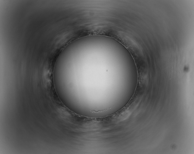 X0000103331010200809051204