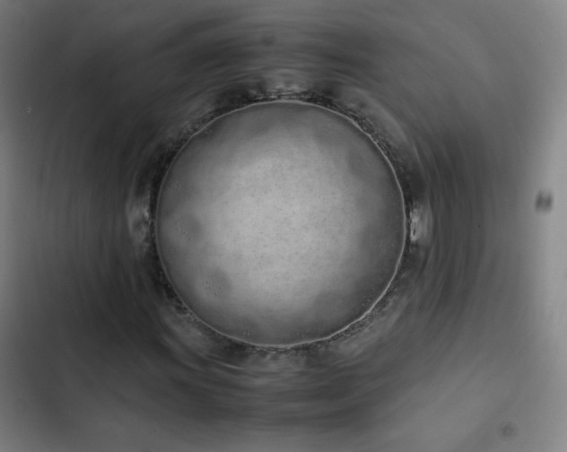 X0000103331011200809051204