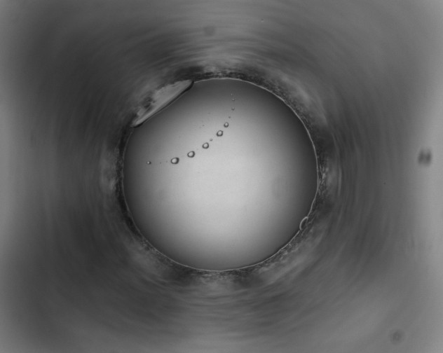 X0000103331012200809051204