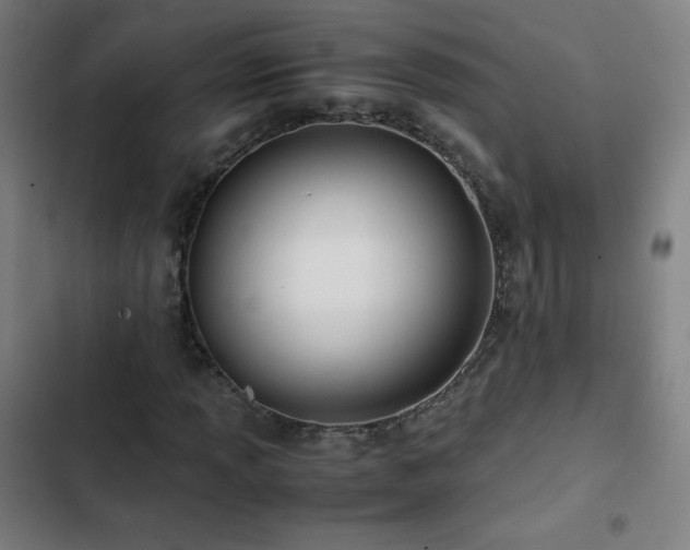 X0000103331013200809051204