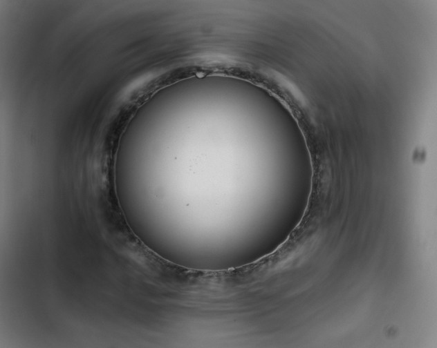 X0000103331016200809051205