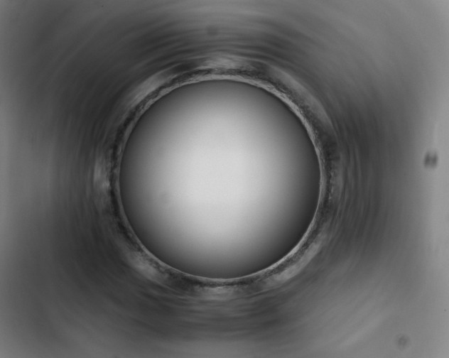 X0000103331017200809051205