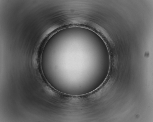 X0000103331018200809051205