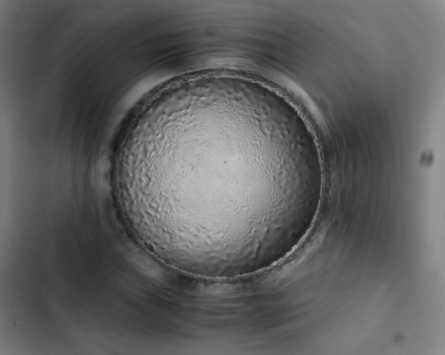 X0000103331019200809051205