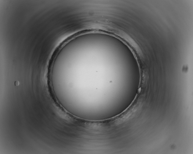 X0000103331020200809051205