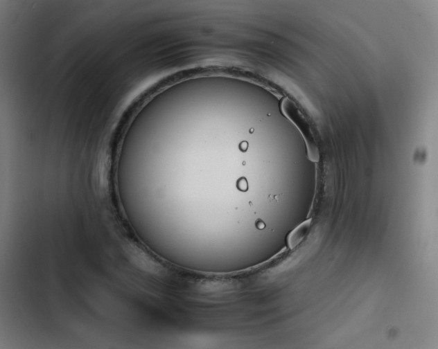 X0000103331021200809051205