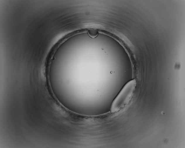 X0000103331022200809051205