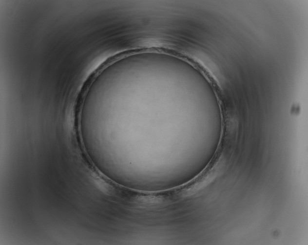 X0000103331023200809051205