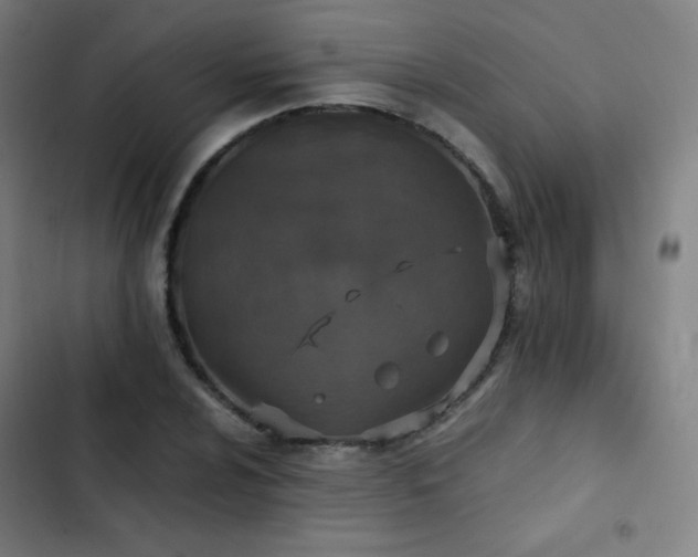 X0000103331024200809051205