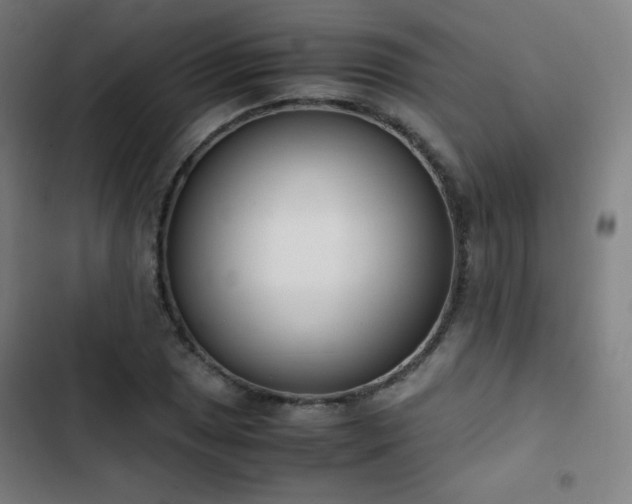 X0000103331025200809051205