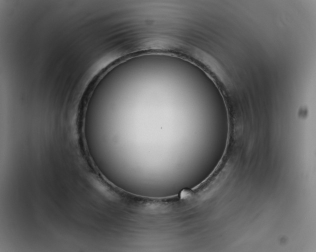 X0000103331026200809051205