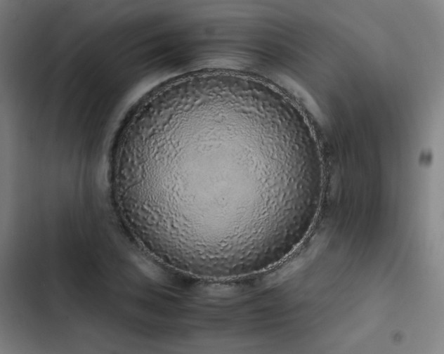 X0000103331027200809051205