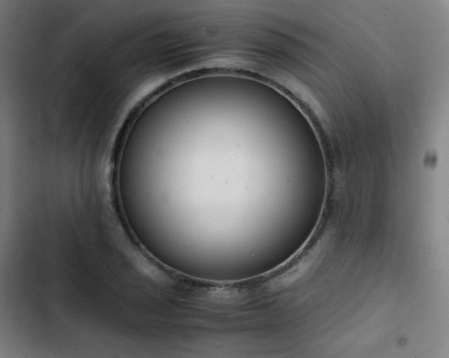 X0000103331029200809051205