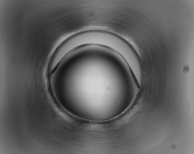 X0000103331030200809051205