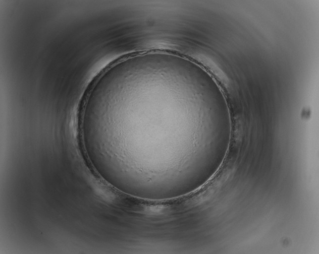 X0000103331031200809051205