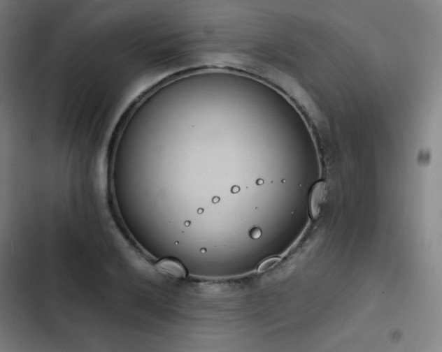 X0000103331032200809051205