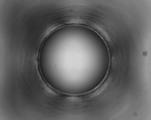 X0000103331033200809051205