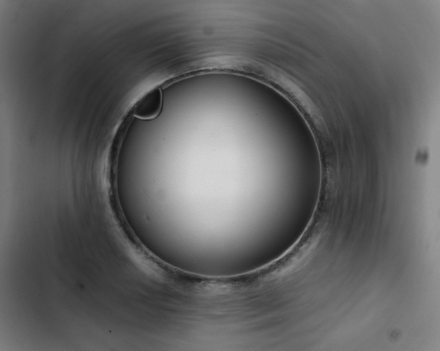 X0000103331034200809051205