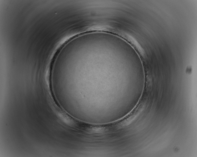 X0000103331035200809051205