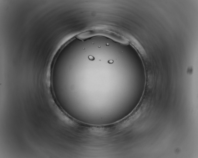 X0000103331036200809051205