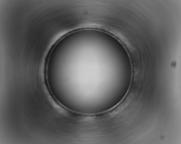 X0000103331038200809051205