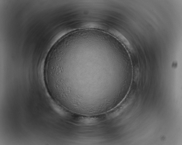 X0000103331039200809051205