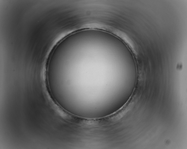 X0000103331040200809051205