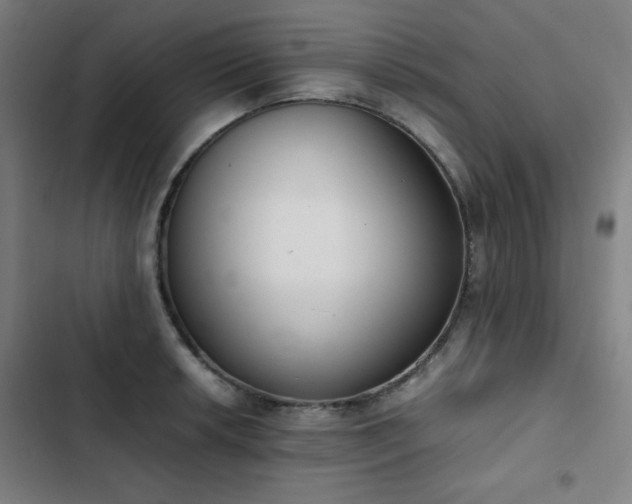 X0000103331042200809051205