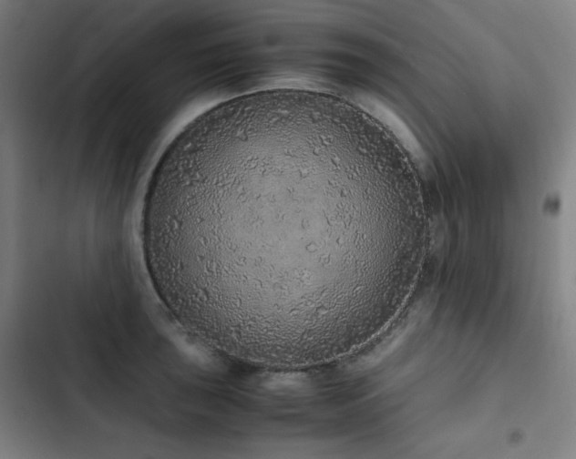 X0000103331043200809051205