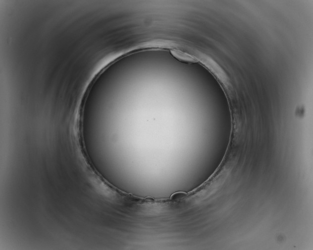 X0000103331044200809051205