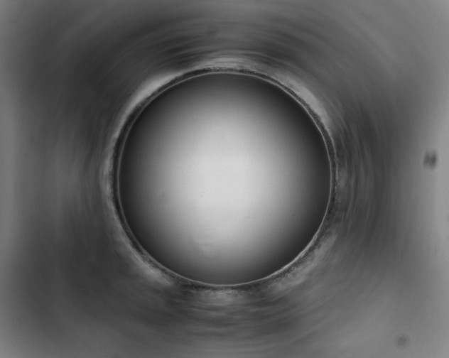 X0000103331045200809051205