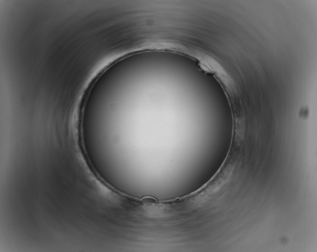 X0000103331046200809051205