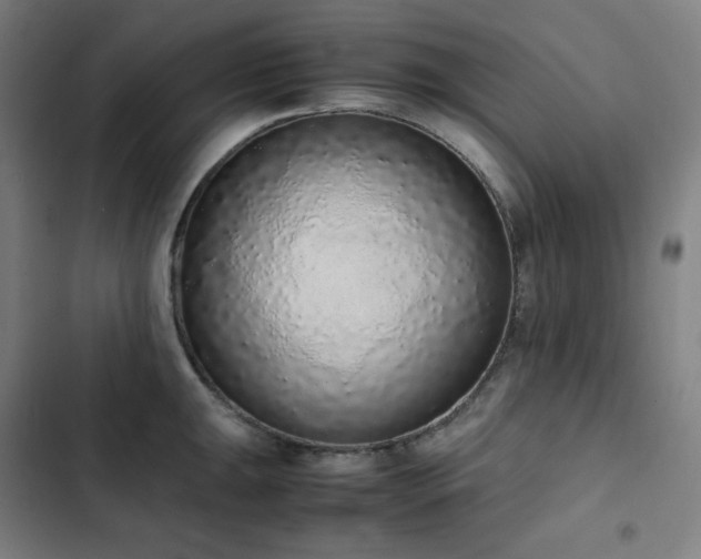 X0000103331047200809051205