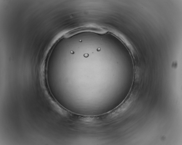 X0000103331048200809051205