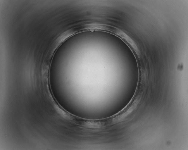 X0000103331049200809051205