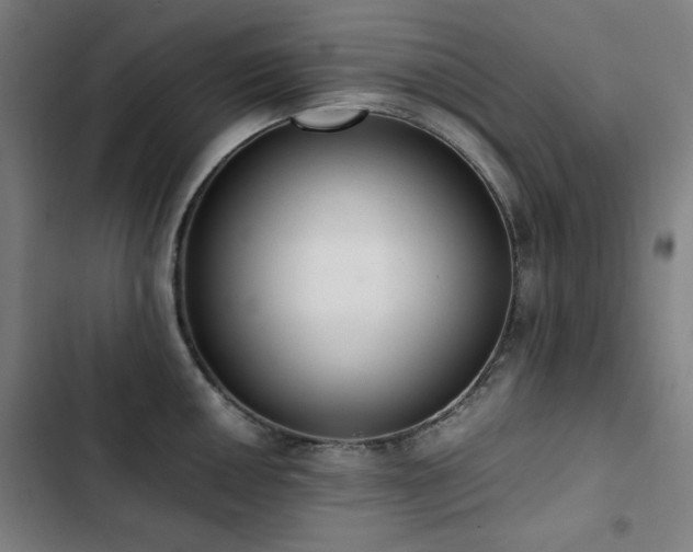 X0000103331050200809051205