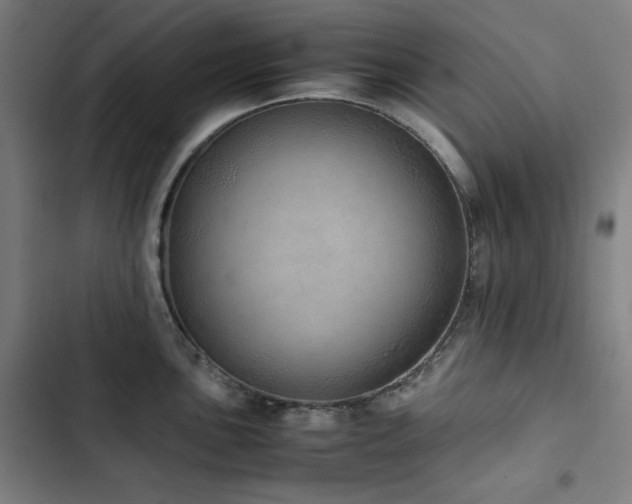 X0000103331051200809051205