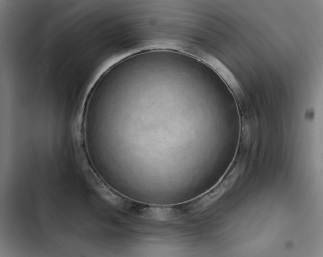 X0000103331052200809051205