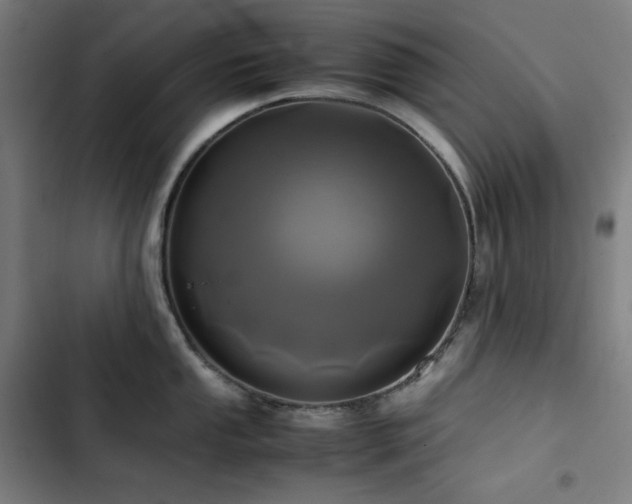 X0000103331053200809051205