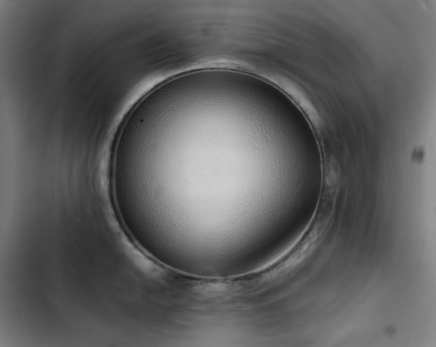 X0000103331054200809051205