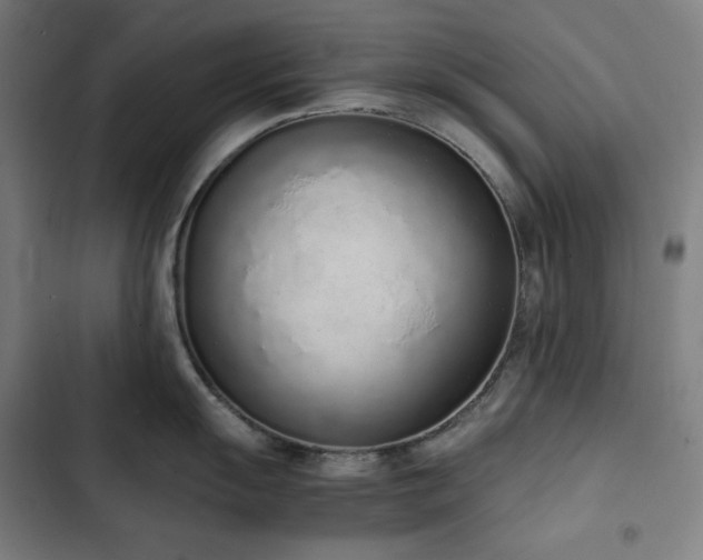 X0000103331055200809051205