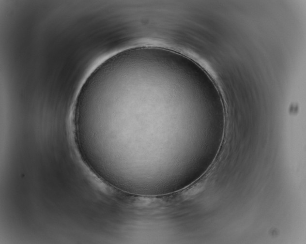 X0000103331056200809051205